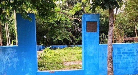 image-here